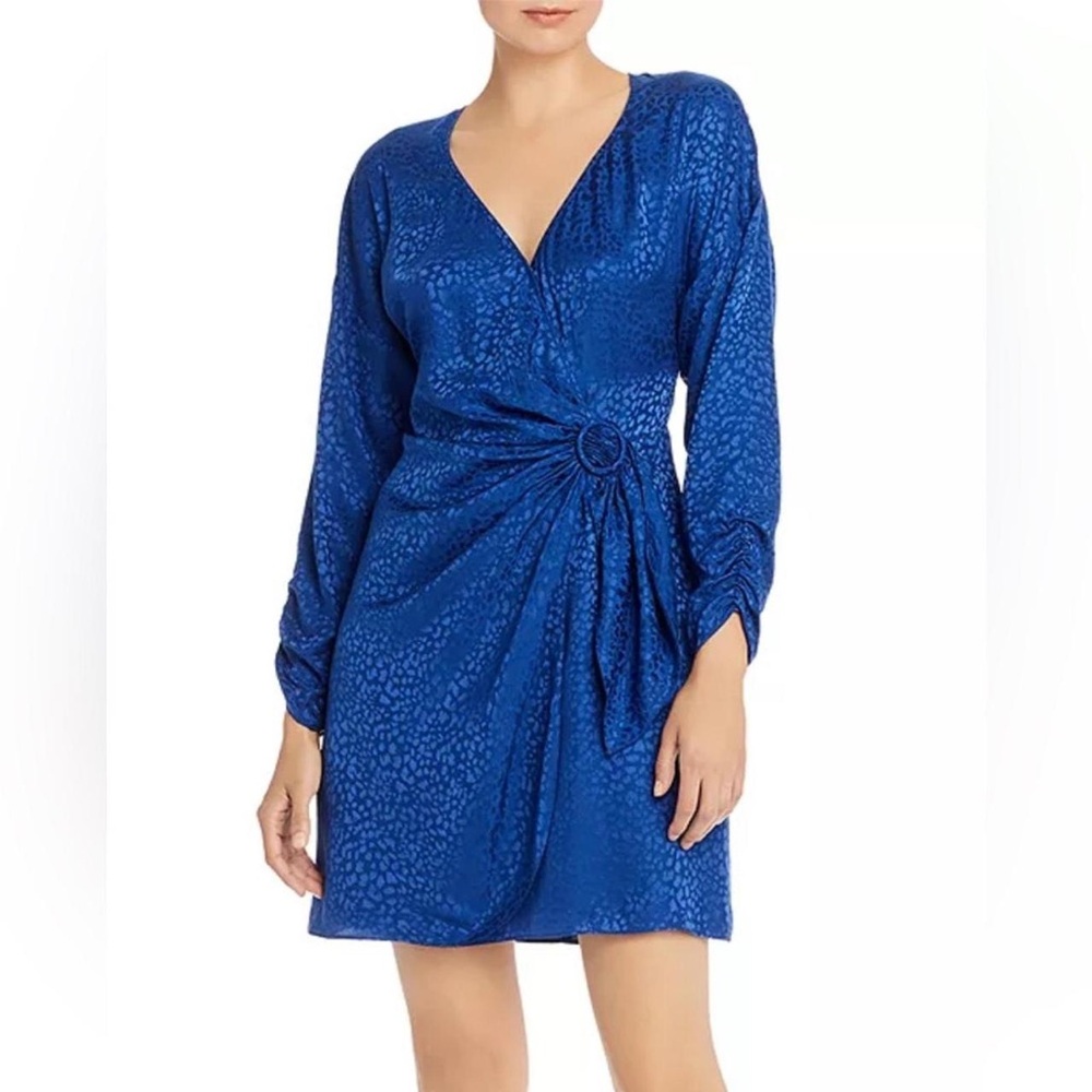 Parker Blue Long Sleeve Dress